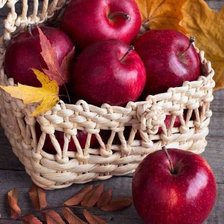 Схема вышивки «№1969403»