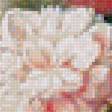 Предпросмотр схемы вышивки «Натюрморт. Изобилие.» (№1969435)