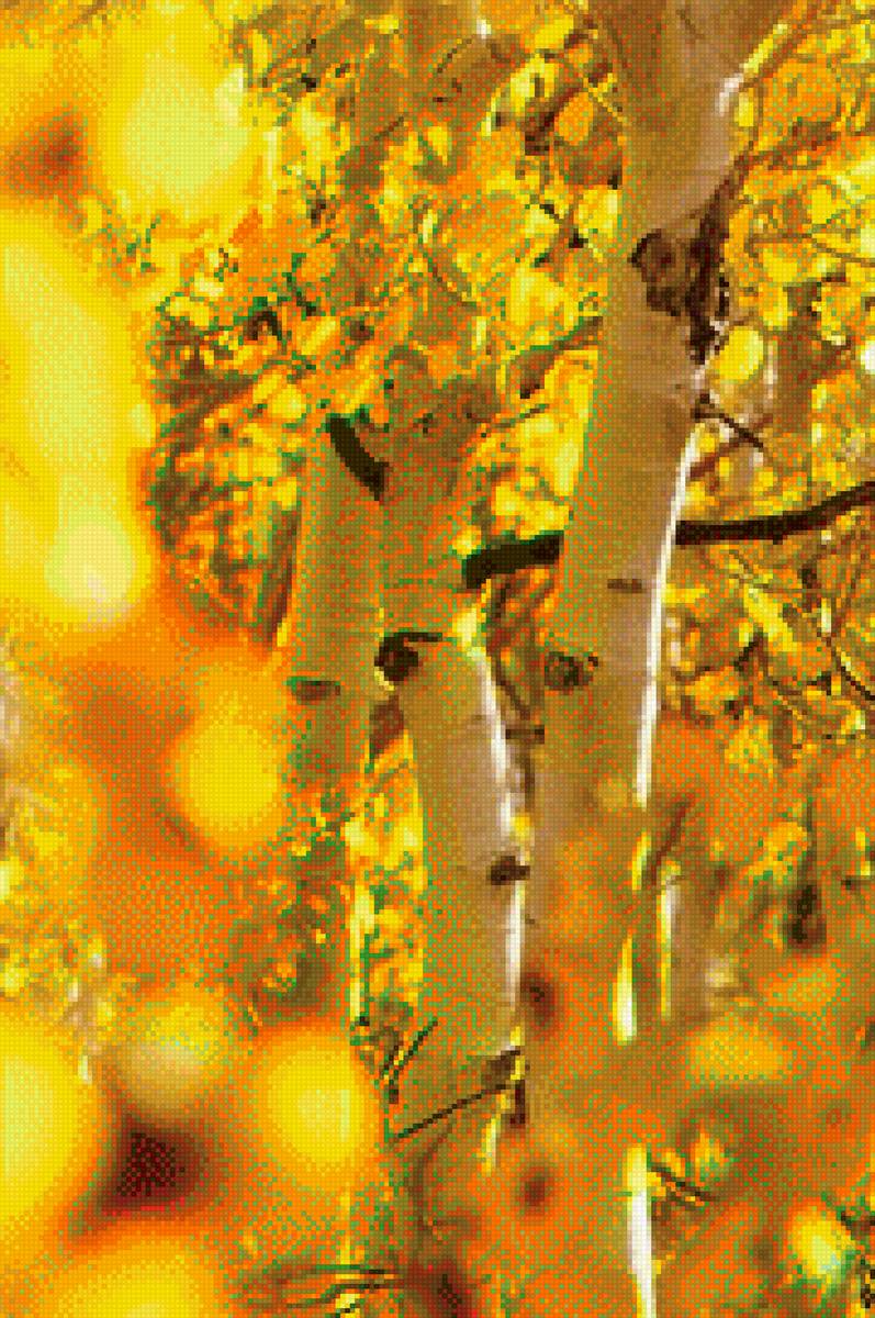 осень - деревья, березы, лес, осень - предпросмотр