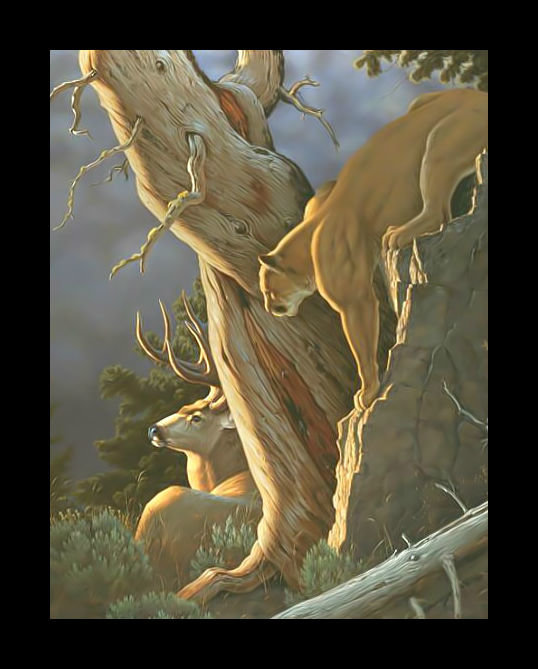 Пума и олень. - пума, охота, олень, хищник, животные - оригинал