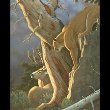 Схема вышивки «Пума и олень.»