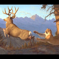 Схема вышивки «Пума и олень2.»