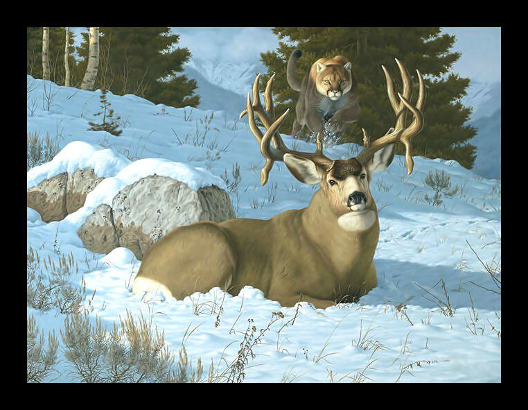 Пума и олень3. - охота, животные, хищник, олень, пума - оригинал