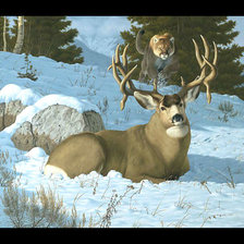 Схема вышивки «Пума и олень3.»