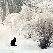 Схема вышивки «№1969612»