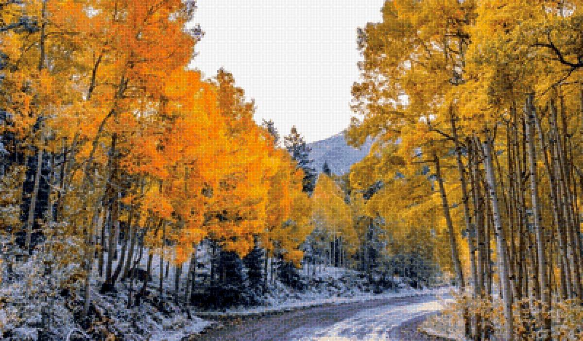 первый снег - пейзаж, лес, горы, снег, осень - предпросмотр