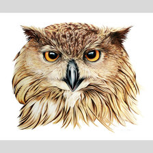 Схема вышивки «№1969708»