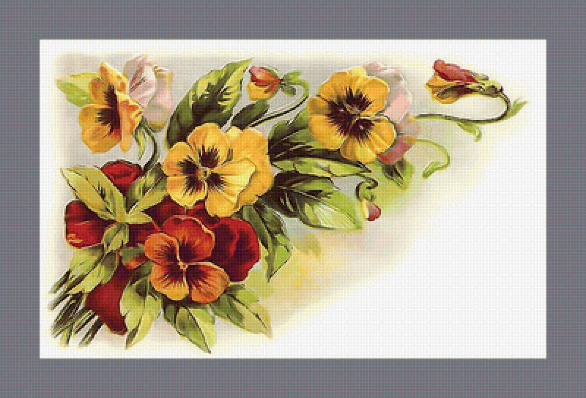 Серия "Винтаж". Анютины глазки - букет, флора, цветы, анютины глазки - предпросмотр