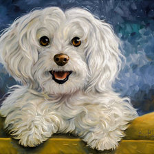 Схема вышивки «White Beauty.»