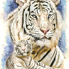 Схема вышивки «White Tiger.»