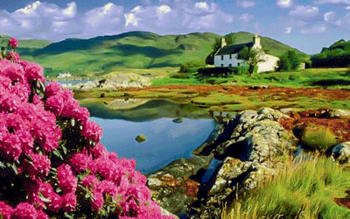 Yorkshire Countryside. - landscapes.flowers and gardens. - предпросмотр