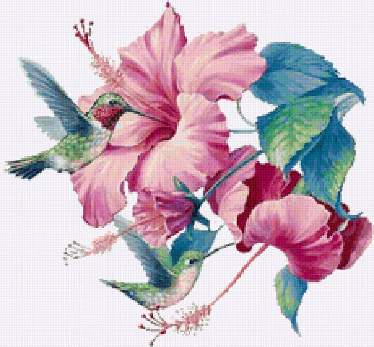 цветы - цветы, колибри - предпросмотр