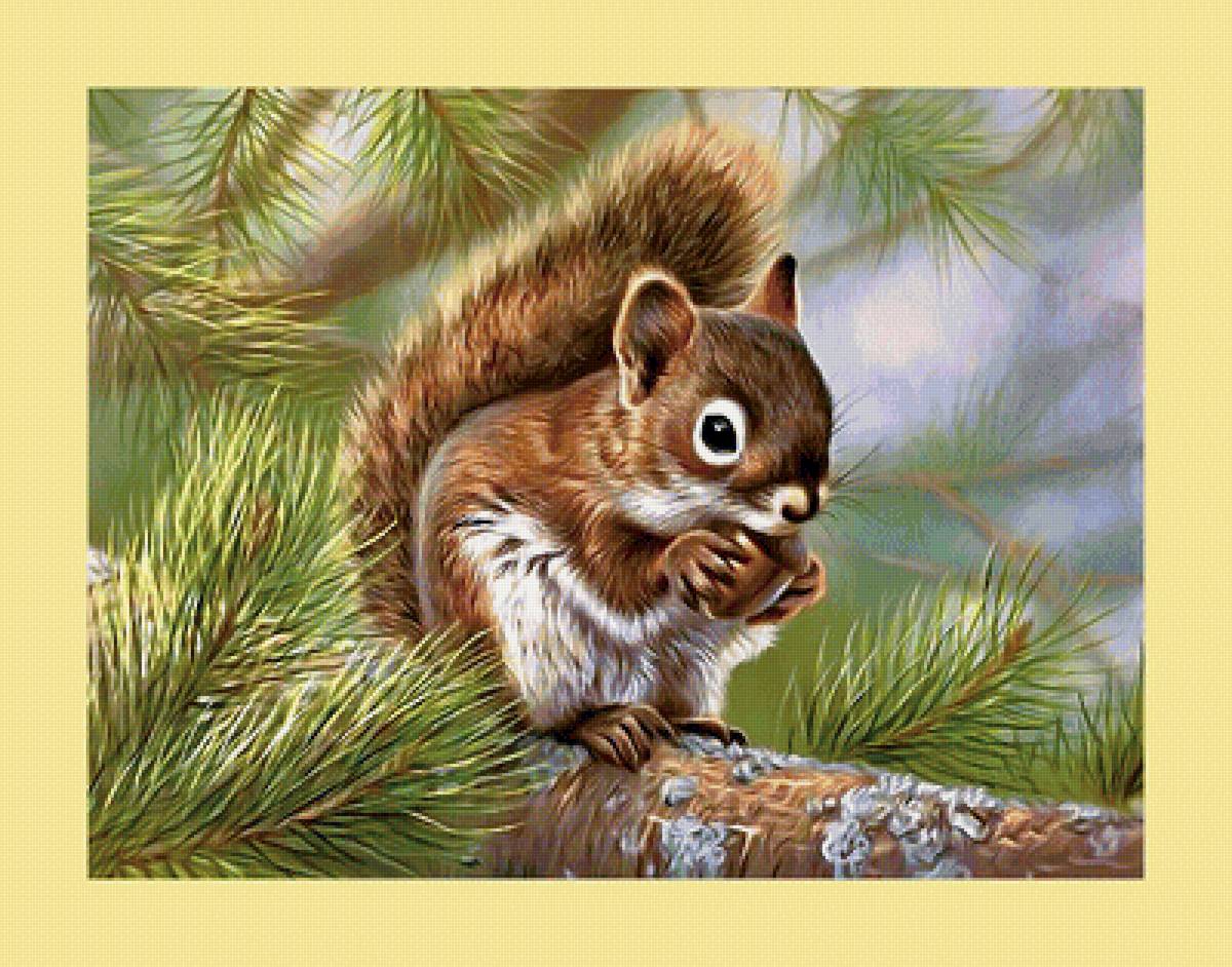 Серия "Грызуны" - белка, грызуны, животные - предпросмотр