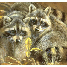 Схема вышивки «Серия "Еноты"»