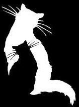 Отражение твое