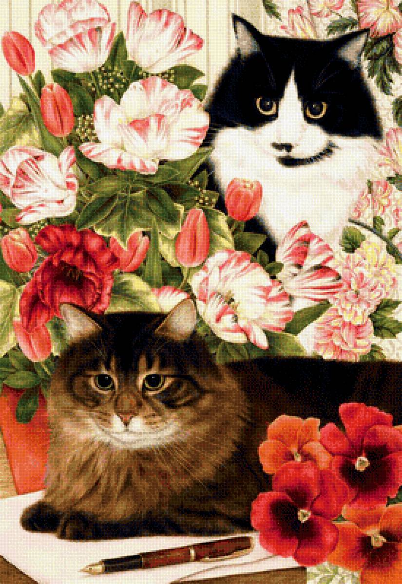 mačky - предпросмотр