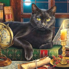 Схема вышивки «чёрный кот»