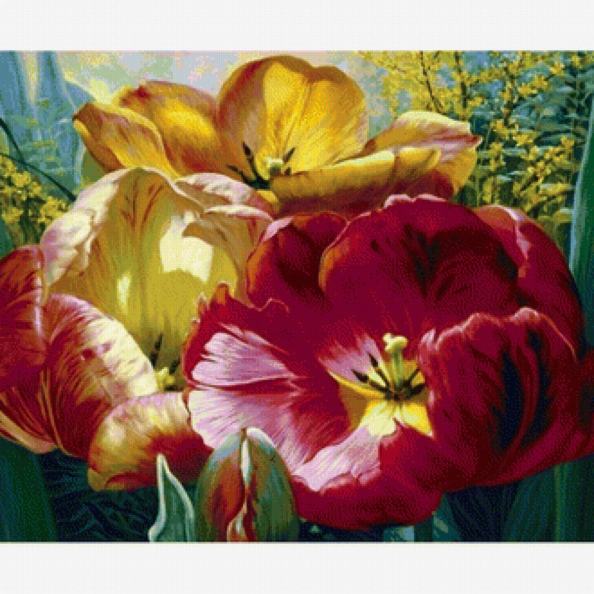 Нежные тюльпаны - цветы - предпросмотр