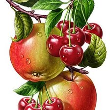 Схема вышивки «Для кухни»