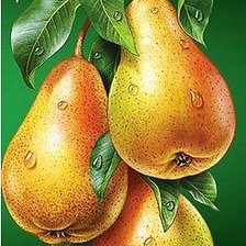 Схема вышивки «Для кухни»