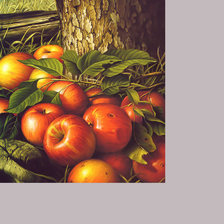 Схема вышивки «Яблочки.»