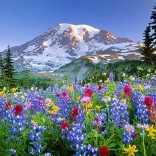 Схема вышивки «№1970948»