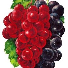 Схема вышивки «№1971090»