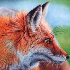 Схема вышивки «лиса»