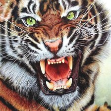 Схема вышивки «тигр»