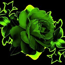 Схема вышивки «цветы»