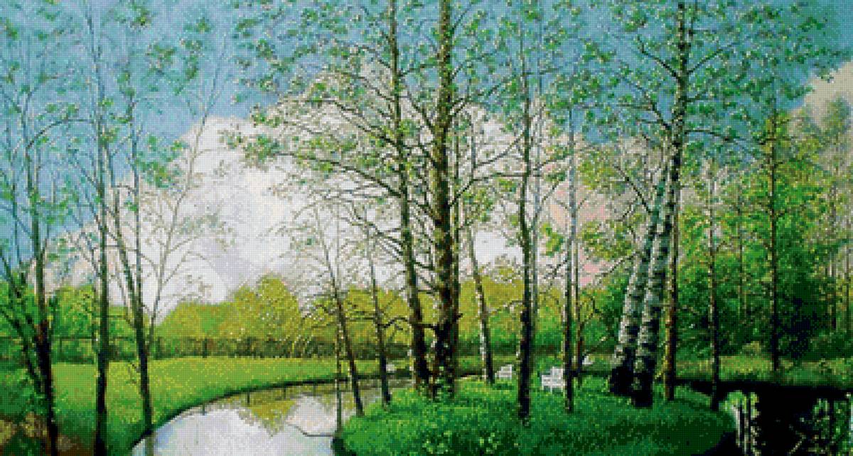 березки - березы, природа, весна, пейзаж - предпросмотр