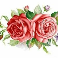 Схема вышивки «цветы»