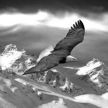 Схема вышивки «№1971429»