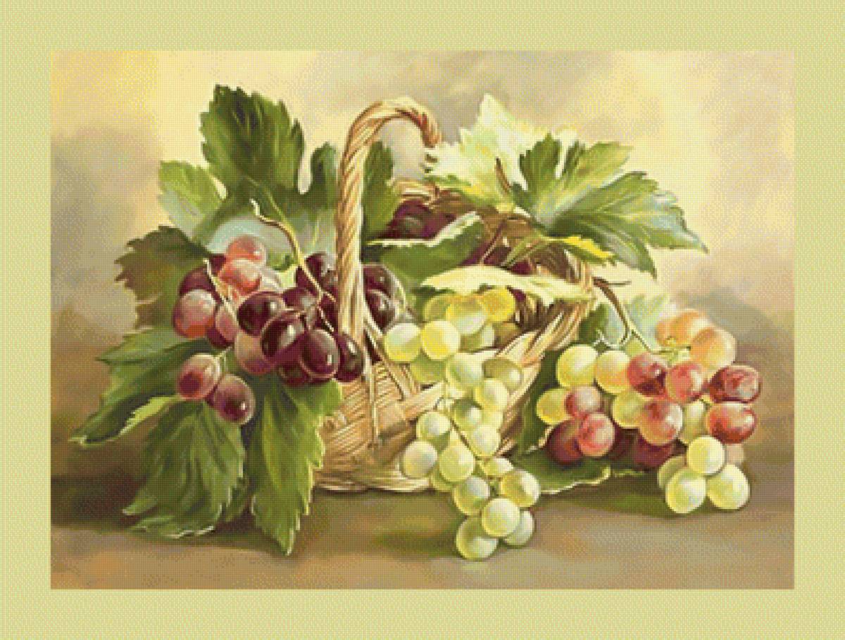 Виноград. - корзина, ягоды, натюрморт, виноград - предпросмотр