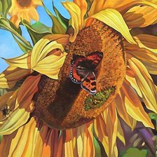 Схема вышивки «бабочка»