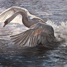 Схема вышивки «лебедь»