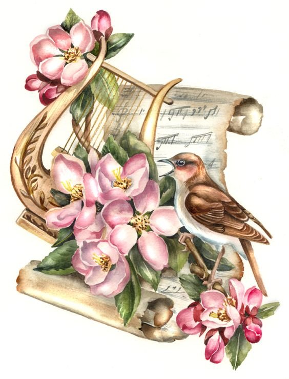 vtáčik,kvety - оригинал