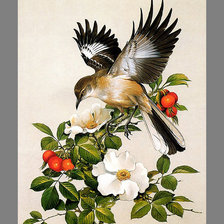 Схема вышивки «Серия "Птицы"»