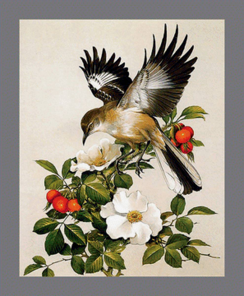 Серия "Птицы". Уменьшенный вариант - птицы, фауна - предпросмотр