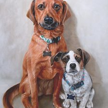 Схема вышивки «№1971886»