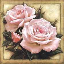 Схема вышивки «Розы»