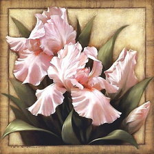 Схема вышивки «Ирисы»