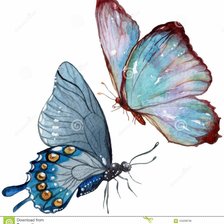 Схема вышивки «бабочки»