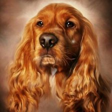 Схема вышивки «Спаниэлька»