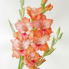 Схема вышивки «№1972453»