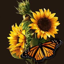 Схема вышивки «цветы»