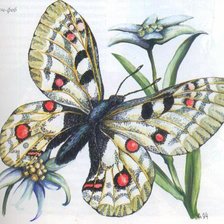 Схема вышивки «цветы»