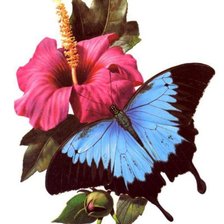 Схема вышивки «цветы»