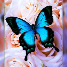 Схема вышивки «цветы»