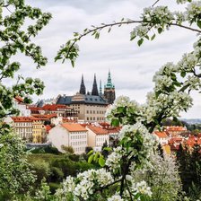 Схема вышивки «Прага»